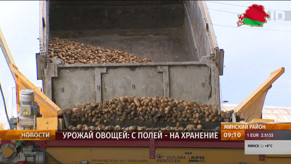 В Минской области под картофель отвели свыше 7,5 тысячи гектаров: третью часть уже убрали 