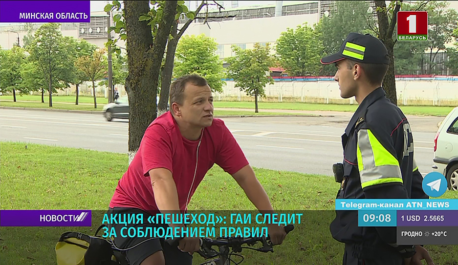 ГАИ: более 70 ДТП с участием пешеходов и велосипедистов произошло в Минской области за полгода