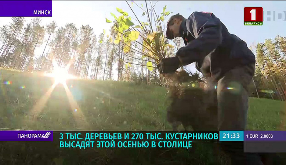 Месяц наведения порядка в белорусской столице - заявки от минчан принимает проект Зеленый двор вместе!