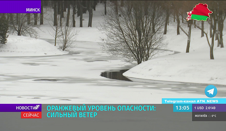 Оранжевый уровень опасности в Беларуси - сильный ветер