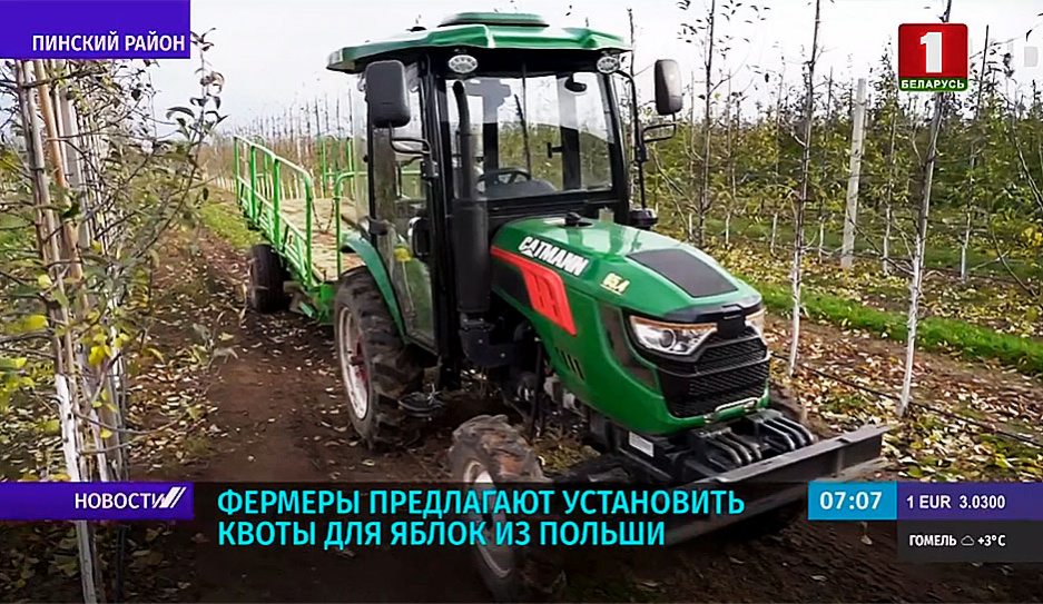 Квоты для поставок яблок из Польши предлагают установить фермеры Пинщины