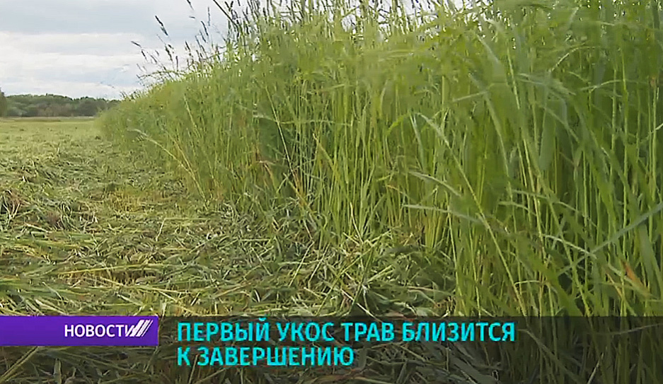 Аграрии Минской области завершают первый укос трав