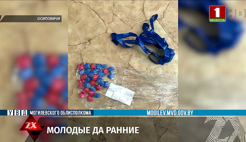 В Осиповичах правоохранители задержали 4 местных жителей за работу на на интернет-площадку по продаже наркотиков