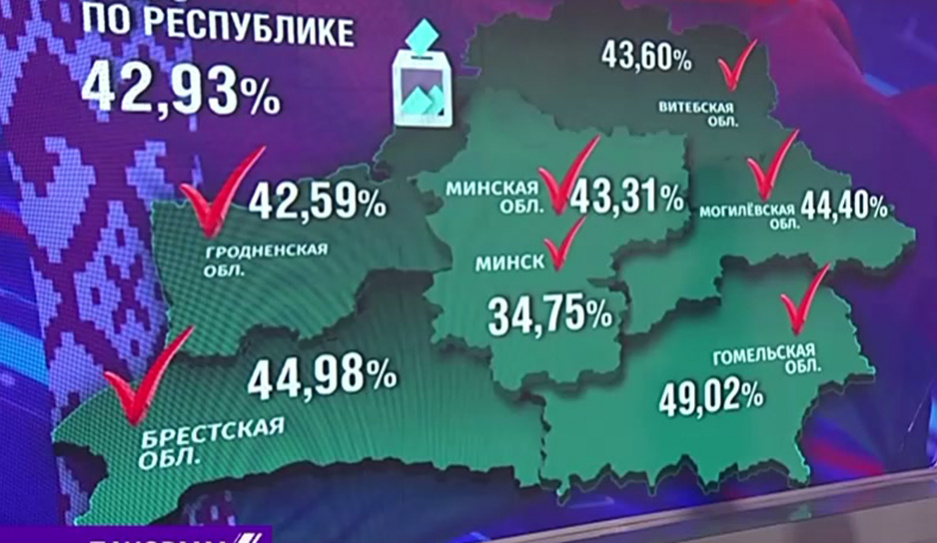 Досрочно на республиканском референдуме по изменениям в Конституцию проголосовали 42,93 % белорусов