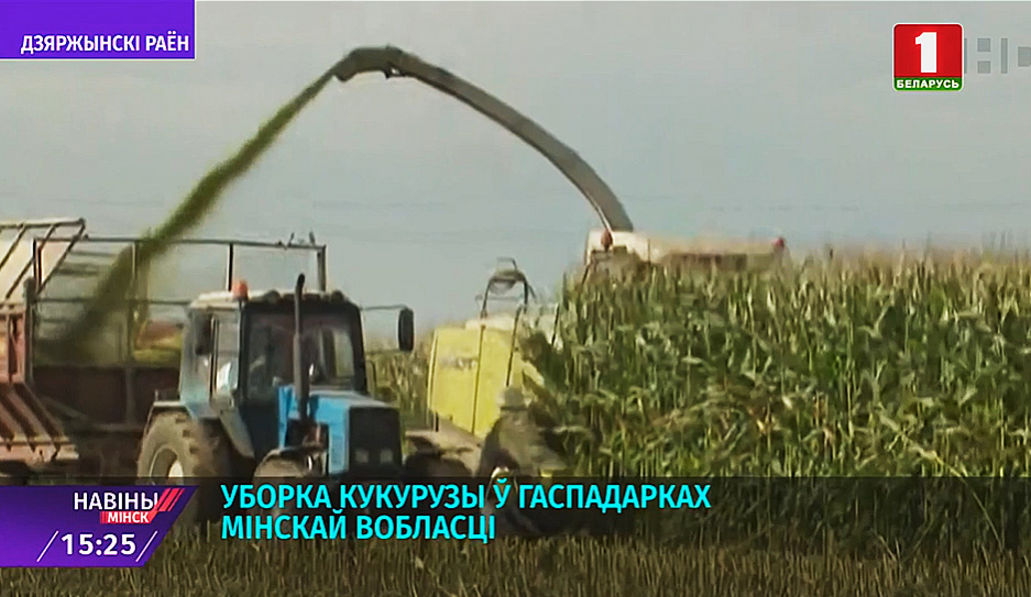 Уборка кукурузы идет в хозяйствах Минской области