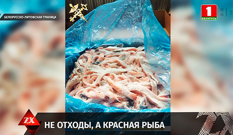 20 тонн брюшек лосося пытались незаконно ввезти на территорию ЕАЭС по поддельному ветеринарному сертификату