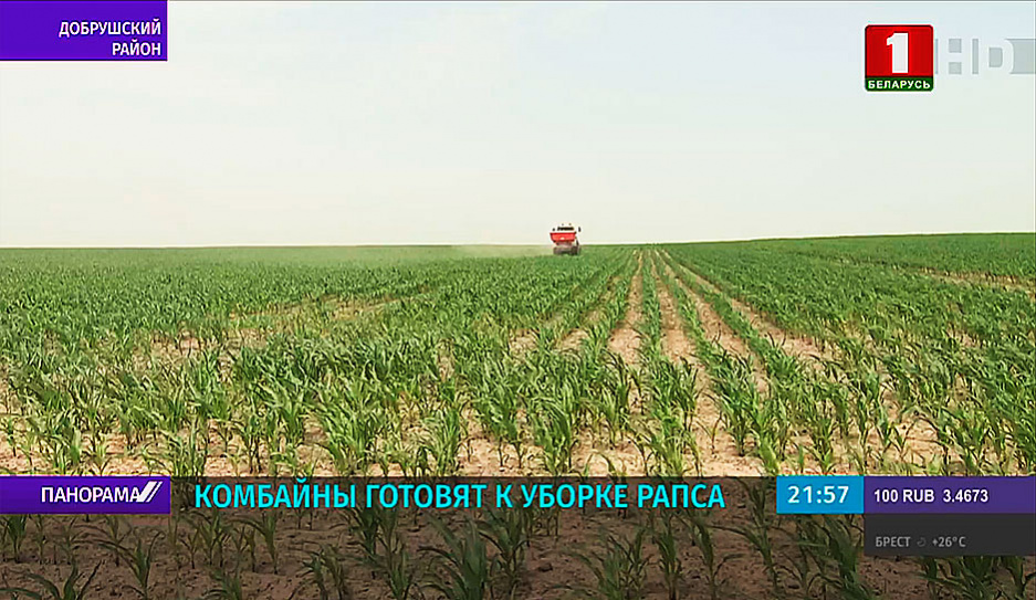 В Беларуси продолжается заготовка первой партии травяных кормов 