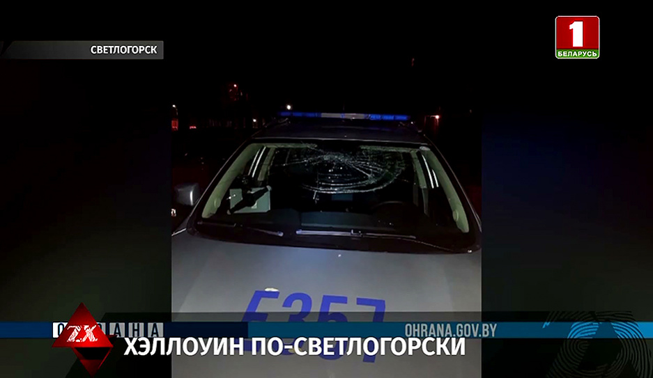 32-летнего местного жителя Светлогорска задержал наряд Департамента охраны за хулиганство