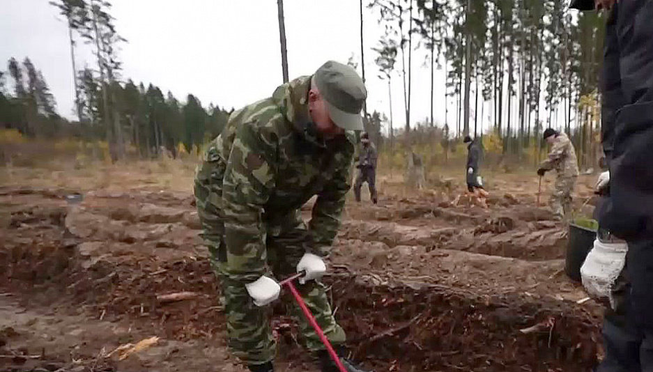 Аднавім лясы разам: милиционеры посадили деревья в Могилевской области