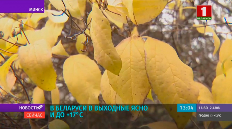В Беларуси в выходные ясно и до + 17°С