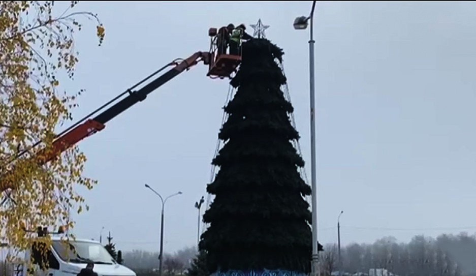 Где в Минске уже появляются новогодние елки