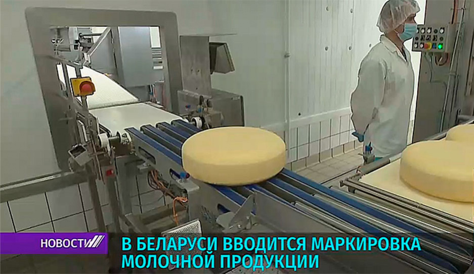 В Беларуси вводится маркировка молочной продукции 