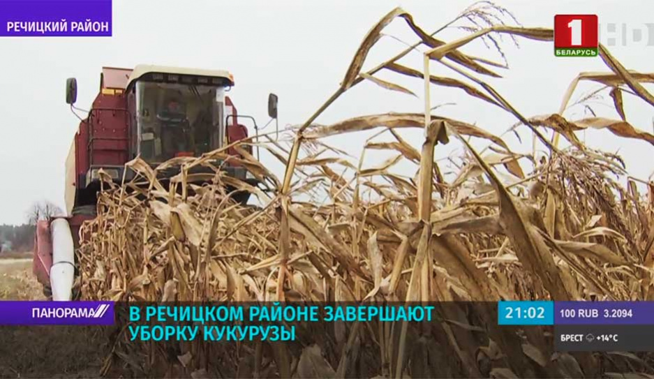 Белорусские аграрии завершают сельскохозяйственный год 