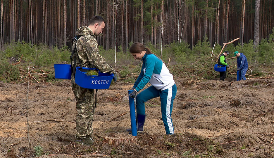 Сотрудники НОК Беларуси и известные спортсмены приняли участие в акции Неделя леса