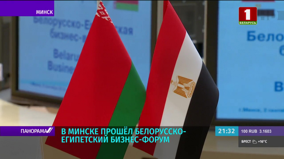 Беларусь и Египет обсуждали инвестклимат на совместном деловом форуме в Минске