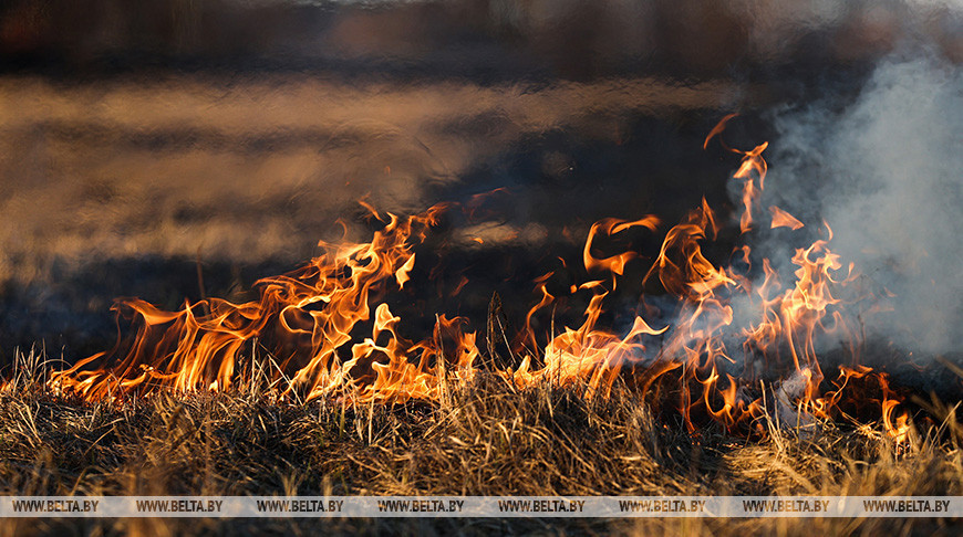 Крупный лесной пожар произошел в Пинском районе 