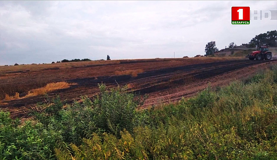 В Дзержинском районе спасатели ликвидировали загорание озимой пшеницы