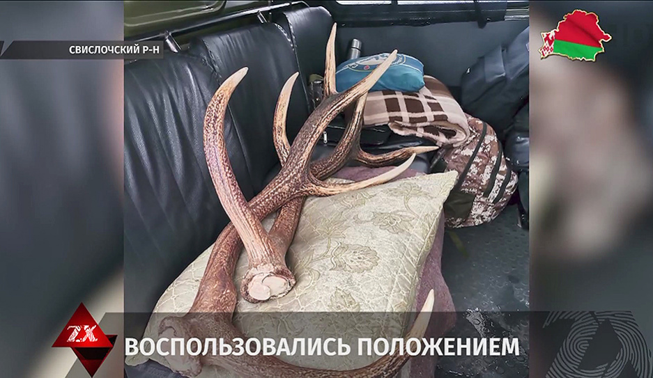 В Свислочском районе за браконьерство задержаны два егеря
